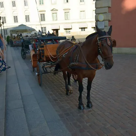 Elegant Old Town Iii Warsaw